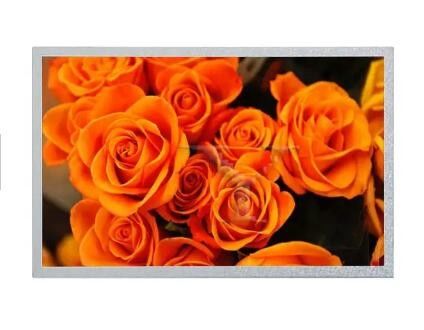 ODM Industrial TFT Panel Display 10.1 Inch HDMI Display 350cd/M2 1280*800